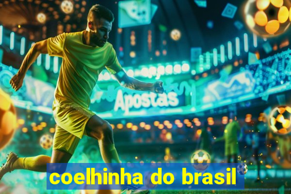 coelhinha do brasil